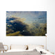 Underwater View Of Chum Salmon Fry Wall Mural