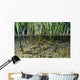 Surface Level View Of Chum Salmon Fry Wall Mural