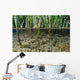 Surface Level View Of Chum Salmon Fry Wall Mural