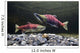 Underwater View Of Sockeye Salmon On Spawning Grounds In Power Creek Wall Mural