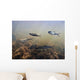 Coho Fry And Dolly Varden With Parr Marks Swim Wall Mural