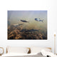 Coho Fry And Dolly Varden With Parr Marks Swim Wall Mural