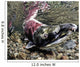 Mature Male Sockeye Salmon On Spawning Grounds Wall Mural