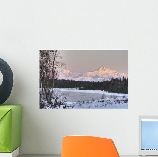 Winter Scenic Of The Southside Of Mt Mckinley Wall Mural