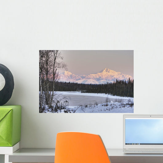Winter Scenic Of The Southside Of Mt Mckinley Wall Mural