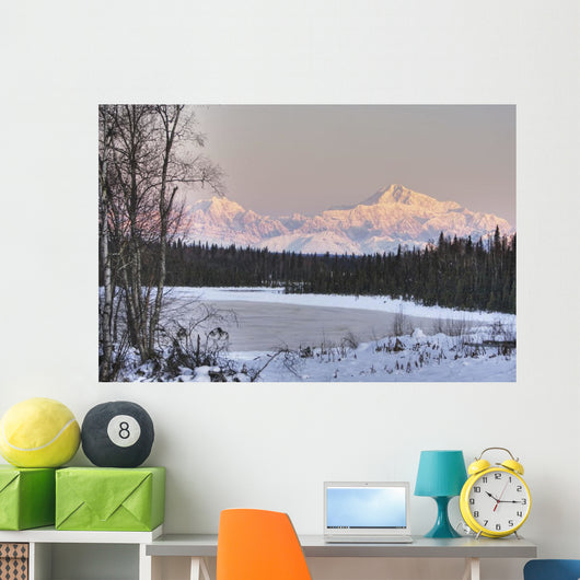 Winter Scenic Of The Southside Of Mt Mckinley Wall Mural
