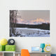 Winter Scenic Of The Southside Of Mt Mckinley Wall Mural