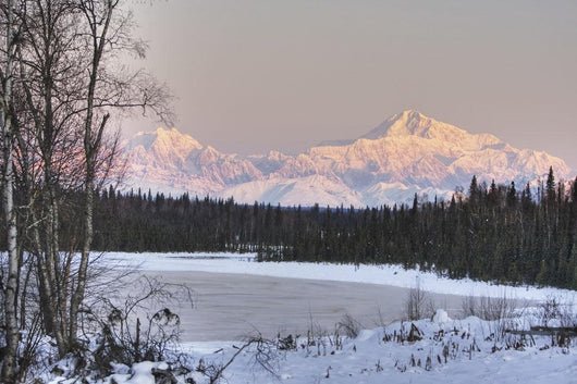 Winter Scenic Of The Southside Of Mt Mckinley Wall Mural