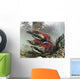 Mature Male Sockeye Salmon On Spawning Grounds Wall Mural