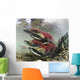 Mature Male Sockeye Salmon On Spawning Grounds Wall Mural