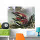 Mature Male Sockeye Salmon On Spawning Grounds Wall Mural