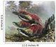 Mature Male Sockeye Salmon On Spawning Grounds Wall Mural