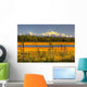 Scenic View Of Mt Mckinley At Sunset Wall Mural