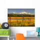 Scenic View Of Mt Mckinley At Sunset Wall Mural