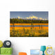 Scenic View Of Mt Mckinley At Sunset Wall Mural