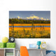 Scenic View Of Mt Mckinley At Sunset Wall Mural