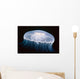 Underwater View Of A Moon Jellyfish, British Columbia, Canada Wall Mural
