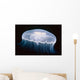 Underwater View Of A Moon Jellyfish, British Columbia, Canada Wall Mural