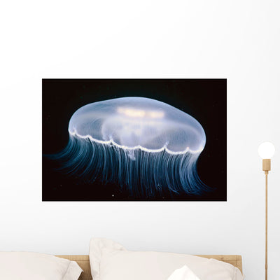 Underwater Moon Jellyfish British Wall Mural shown on a wall
