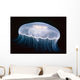 Underwater View Of A Moon Jellyfish, British Columbia, Canada Wall Mural