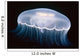 Underwater View Of A Moon Jellyfish, British Columbia, Canada Wall Mural