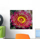 Underwater Close Up Of A Christmas Anemone, British Columbia, Canada Wall Mural