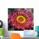 Underwater Close Up Of A Christmas Anemone, British Columbia, Canada Wall Mural