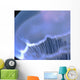 Underwater View Of A Moon Jellyfish, British Columbia, Canada Wall Mural