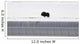Musk Oxen Stands Wall Mural