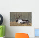 Bull Woodland Caribou In The Yukon Territory, Canada Wall Mural