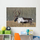 Bull Woodland Caribou In The Yukon Territory, Canada Wall Mural