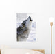 Captive Gray Wolf Howling Winter Wall Mural