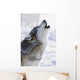 Captive Gray Wolf Howling Winter Wall Mural