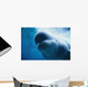 Underwater Close Up View Of A Captive Beluga Whale Swimming Wall Mural