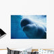 Underwater Close Up View Of A Captive Beluga Whale Swimming Wall Mural