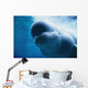 Underwater Close Up View Of A Captive Beluga Whale Swimming Wall Mural