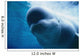 Underwater Close Up View Of A Captive Beluga Whale Swimming Wall Mural