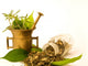 Mortar with herbal, and leaves Wall Decal
