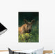 Moose Calf Stands In Yellow Flowers Kp Alaska Summer Wall Mural