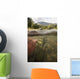 Spawned Out Sockeye Salmon Wall Mural