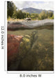 Spawned Out Sockeye Salmon Wall Mural