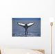 View Of A Humpback Whale Fluke In Frederick Sound Wall Mural