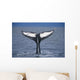 View Of A Humpback Whale Fluke In Frederick Sound Wall Mural