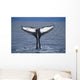 View Of A Humpback Whale Fluke In Frederick Sound Wall Mural
