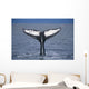 View Of A Humpback Whale Fluke In Frederick Sound Wall Mural