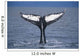 View Of A Humpback Whale Fluke In Frederick Sound Wall Mural
