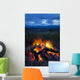 Close-Up View Of A Camp Fire With A View Of The Chugach Mountain Wall Mural