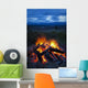 Close-Up View Of A Camp Fire With A View Of The Chugach Mountain Wall Mural