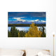 Scenic View Of Mt Sanford And Mt Drum Wall Mural