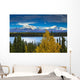Scenic View Of Mt Sanford And Mt Drum Wall Mural